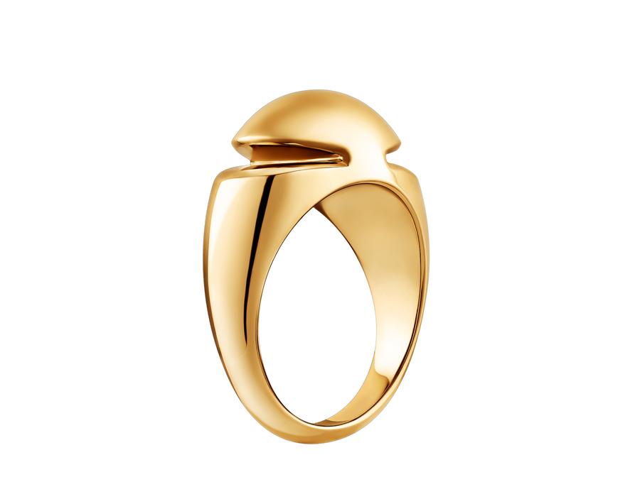 Bob Aura Convex Split Band Ring, Plain| Yellow & Rose Gold | Custom — real photo 2